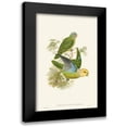 thumbnail image 1 of Gould, John 13x18 Black Modern Framed Museum Art Print Titled - Lime And Cerulean Parrots I, 1 of 5