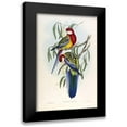 thumbnail image 1 of Gould, John 13x18 Black Modern Framed Museum Art Print Titled - Rose Hil Parakeet, 1 of 5