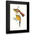 thumbnail image 1 of Gould, John 13x18 Black Modern Framed Museum Art Print Titled - Tropical Trogons VI, 1 of 5