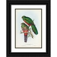thumbnail image 1 of Gould, John 13x18 Black Ornate Wood Framed with Double Matting Museum Art Print Titled - Gould Tropical Birds I, 1 of 4