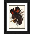 thumbnail image 1 of Gould, John 13x18 Black Ornate Wood Framed with Double Matting Museum Art Print Titled - Leachs Cockatoo-Calyptorhynchus Leachii, 1 of 4