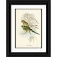 thumbnail image 1 of Gould, John 13x18 Black Ornate Wood Framed with Double Matting Museum Art Print Titled - Red-backed Parakeet-Psephotus haematonotus), 1 of 4