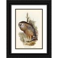 thumbnail image 1 of Gould, John 13x18 Black Ornate Wood Framed with Double Matting Museum Art Print Titled - Wekau-Sceloglaux albifacies, 1 of 4