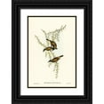 thumbnail image 1 of Gould, John 13x18 Black Ornate Wood Framed with Double Matting Museum Art Print Titled - White-throated Honey-eater-Melithreptus albogularis, 1 of 4