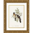 thumbnail image 1 of Gould, John 13x18 Gold Ornate Wood Framed with Double Matting Museum Art Print Titled - Brush Cuckoo-Cuculus insperatus, 1 of 4