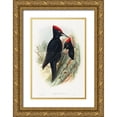 thumbnail image 1 of Gould, John 13x18 Gold Ornate Wood Framed with Double Matting Museum Art Print Titled - Great Black Woodpecker-Dryocopus martius, 1 of 4