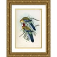 thumbnail image 1 of Gould, John 13x18 Gold Ornate Wood Framed with Double Matting Museum Art Print Titled - Splendid Parakeet, 1 of 4