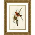 thumbnail image 1 of Gould, John 13x18 Gold Ornate Wood Framed with Double Matting Museum Art Print Titled - The Earl of Derbys Parrakeet-Platycercus icterotis, 1 of 4