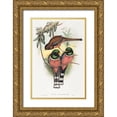 thumbnail image 1 of Gould, John 13x18 Gold Ornate Wood Framed with Double Matting Museum Art Print Titled - Trogan personatus, 1 of 4