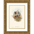 thumbnail image 1 of Gould, John 13x18 Gold Ornate Wood Framed with Double Matting Museum Art Print Titled - White-backed Superb Warbler-Malurus leuconotus, 1 of 4