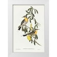 thumbnail image 1 of Gould, John 13x18 White Modern Wood Framed Museum Art Print Titled - Spiny-cheeked Honey-eater-Acanthogenys rufogularis, 1 of 4