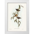 thumbnail image 1 of Gould, John 13x18 White Modern Wood Framed Museum Art Print Titled - Spotted Pardalote-Pardalotus punctatus, 1 of 4