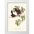 thumbnail image 1 of Gould, John 13x18 White Modern Wood Framed Museum Art Print Titled - White-eyebrowed Pomatorhinus-Pomatorhinus superciliosus, 1 of 4