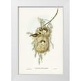 thumbnail image 1 of Gould, John 13x18 White Modern Wood Framed Museum Art Print Titled - Yellow-rumped Acanthiza-Acanthiza chrysorrhoea, 1 of 4