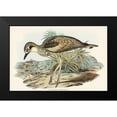 thumbnail image 1 of Gould, John 14x11 Black Modern Framed Museum Art Print Titled - Southern Stone-Plover-Edicnemus grallarius, 1 of 4