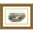 thumbnail image 1 of Gould, John 14x11 Gold Ornate Wood Framed with Double Matting Museum Art Print Titled - Broad-billed Prion-Prion vittatus, 1 of 4