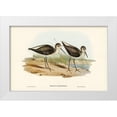 thumbnail image 1 of Gould, John 14x11 White Modern Wood Framed Museum Art Print Titled - Marsh Sandpiper-Totanus stagnatilis, 1 of 4