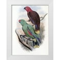 thumbnail image 1 of Gould, John 14x18 White Modern Wood Framed Museum Art Print Titled - Riedels Parrot, 1 of 4