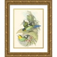 thumbnail image 1 of Gould, John 15x18 Gold Ornate Wood Framed with Double Matting Museum Art Print Titled - Small Birds of Tropics I, 1 of 4