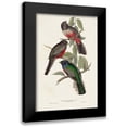 thumbnail image 1 of Gould, John 17x24 Black Modern Framed Museum Art Print Titled - Elegant Trogons V, 1 of 5