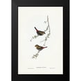 thumbnail image 1 of Gould, John 17x24 Black Modern Framed Museum Art Print Titled - Red-eared Finch-Estrelda oculea, 1 of 4