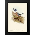 thumbnail image 1 of Gould, John 17x24 Black Modern Framed Museum Art Print Titled - Turquoisine Superb Warbler-Malurus callainus, 1 of 4