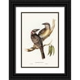 thumbnail image 1 of Gould, John 17x24 Black Ornate Wood Framed with Double Matting Museum Art Print Titled - Great Bower Bird-Chlamydera nuchalis, 1 of 4