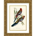 thumbnail image 1 of Gould, John 17x24 Gold Ornate Wood Framed with Double Matting Museum Art Print Titled - Adelaide Parakeet-Platycercus Adelaidiae, 1 of 4