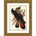 thumbnail image 1 of Gould, John 17x24 Gold Ornate Wood Framed with Double Matting Museum Art Print Titled - Banksian Cockatoo-Calyptorhynchus Banksii, 1 of 4