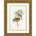 thumbnail image 1 of Gould, John 17x24 Gold Ornate Wood Framed with Double Matting Museum Art Print Titled - Blue Shining Flycatcher-Piezorhynchus nitidus, 1 of 4