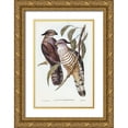 thumbnail image 1 of Gould, John 17x24 Gold Ornate Wood Framed with Double Matting Museum Art Print Titled - Crested Hawk-Lepidogenys subcristatus, 1 of 4
