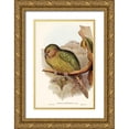 thumbnail image 1 of Gould, John 17x24 Gold Ornate Wood Framed with Double Matting Museum Art Print Titled - Kakapo-Strigops habroptius, 1 of 4