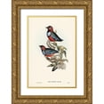 thumbnail image 1 of Gould, John 17x24 Gold Ornate Wood Framed with Double Matting Museum Art Print Titled - Macklots Pitta-Pitta Mackloti, 1 of 4