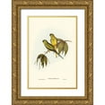 thumbnail image 1 of Gould, John 17x24 Gold Ornate Wood Framed with Double Matting Museum Art Print Titled - Rock Grass-Parakeet-Euphema petrophila, 1 of 4