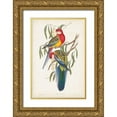 thumbnail image 1 of Gould, John 17x24 Gold Ornate Wood Framed with Double Matting Museum Art Print Titled - Tropical Parrots IV, 1 of 4