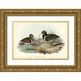 thumbnail image 1 of Gould, John 18x13 Gold Ornate Wood Framed with Double Matting Museum Art Print Titled - Australian Rhynchaea-Rhynchaea Australis, 1 of 4