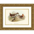 thumbnail image 1 of Gould, John 18x13 Gold Ornate Wood Framed with Double Matting Museum Art Print Titled - Rufous-vented Gallinule-Gallinula ruficrissa, 1 of 4