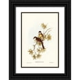 thumbnail image 1 of Gould, John 23x32 Black Ornate Wood Framed with Double Matting Museum Art Print Titled - Northern Fantail-Rhipidura isura, 1 of 4