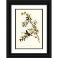 thumbnail image 1 of Gould, John 23x32 Black Ornate Wood Framed with Double Matting Museum Art Print Titled - White-cheeked Honey-eater-Meliphaga sericea, 1 of 4