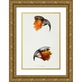 thumbnail image 1 of Gould, John 23x32 Gold Ornate Wood Framed with Double Matting Museum Art Print Titled - Norfolk kaka-Nestor productus and Kaka parrot-Nestor Hypopolius, 1 of 4