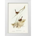 thumbnail image 1 of Gould, John 23x32 White Modern Wood Framed Museum Art Print Titled - Cautious Wren-Hylacola cauta, 1 of 4