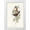 thumbnail image 1 of Gould, John 23x32 White Modern Wood Framed Museum Art Print Titled - Noisy Brush-bird-Atrichia clamosa, 1 of 4