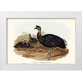 thumbnail image 1 of Gould, John 24x17 White Modern Wood Framed Museum Art Print Titled - One-carunculated Cassowary-Casuarius uniappendiculatus, 1 of 4
