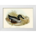 thumbnail image 1 of Gould, John 24x17 White Modern Wood Framed Museum Art Print Titled - Variegated Shoveller-Spatula Variegata, 1 of 4