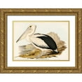 thumbnail image 1 of Gould, John 24x18 Gold Ornate Wood Framed with Double Matting Museum Art Print Titled - Australian Pelican-Pelecanus conspicillatus, 1 of 4