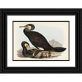 thumbnail image 1 of Gould, John 32x23 Black Ornate Wood Framed with Double Matting Museum Art Print Titled - Australian Cormorant-Phalacrocorax Carboides, 1 of 4