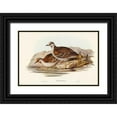 thumbnail image 1 of Gould, John 32x23 Black Ornate Wood Framed with Double Matting Museum Art Print Titled - Brush Bronze-winged Pigeon-Peristera elegans, 1 of 4