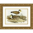 thumbnail image 1 of Gould, John 32x23 Gold Ornate Wood Framed with Double Matting Museum Art Print Titled - Wattle Pewit-Lobivanellus lobatus, 1 of 4