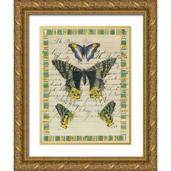Gould-Porter, William 12x14 Gold Ornate Wood Framed with Double Matting Museum Art Print Titled - Butterfly Collage, Peace Pipe