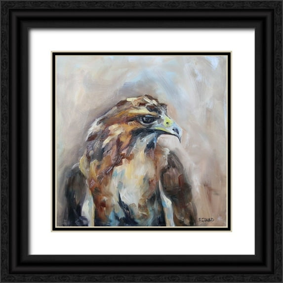 Gould, Renee 26x26 Black Ornate Wood Framed with Double Matting Museum Art Print Titled - Red Tail Hawk